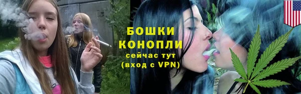 таблы Гусев