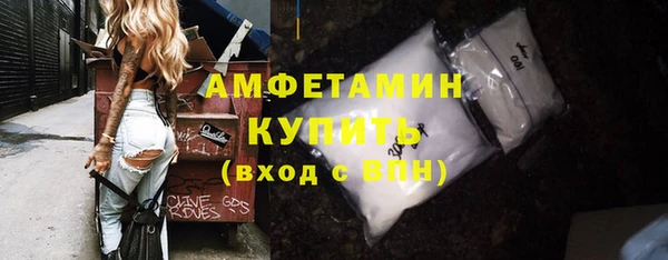 мдпв Гусь-Хрустальный
