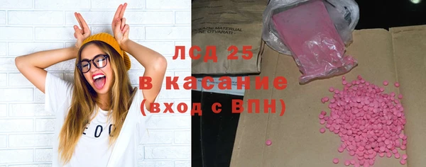 таблы Гусев