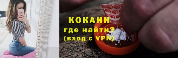 таблы Гусев