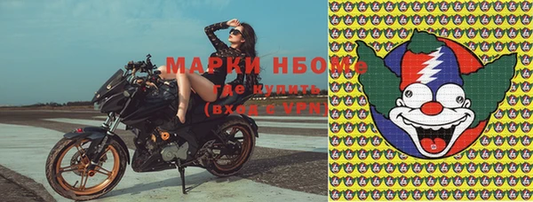 таблы Гусев