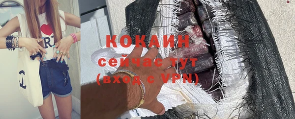 таблы Гусев