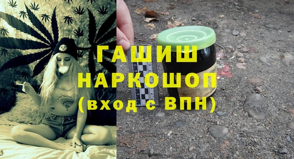 мдпв Гусь-Хрустальный