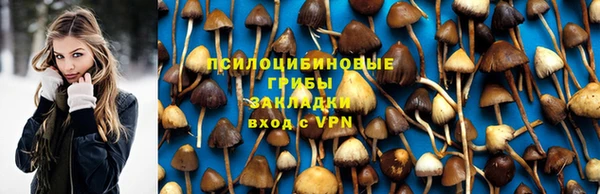 мдпв Гусь-Хрустальный