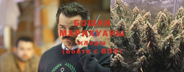 таблы Гусев