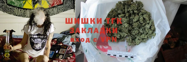 таблы Гусев
