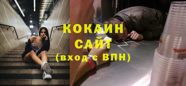таблы Гусев