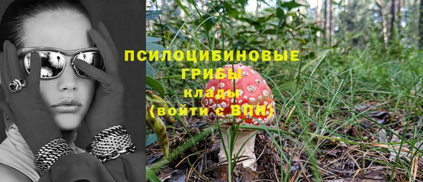 мдпв Гусь-Хрустальный