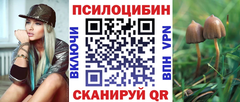 kraken ссылки  Дятьково  Псилоцибиновые грибы MAGIC MUSHROOMS  цены  