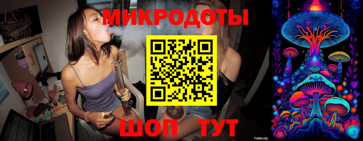Галлюциногенные грибы прущие грибы Дятьково