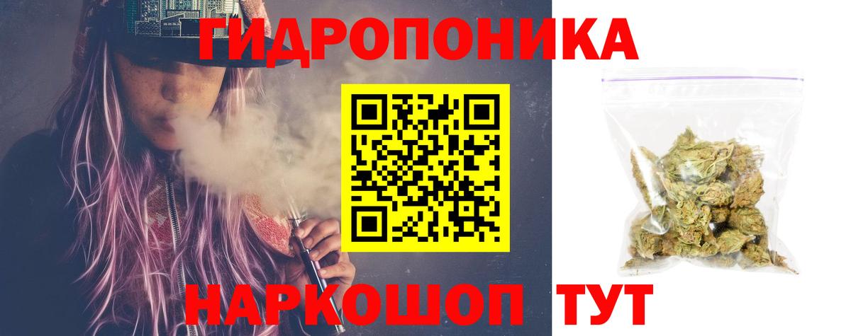 Бошки Шишки план Дятьково